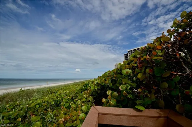 a view of a garden with pathway