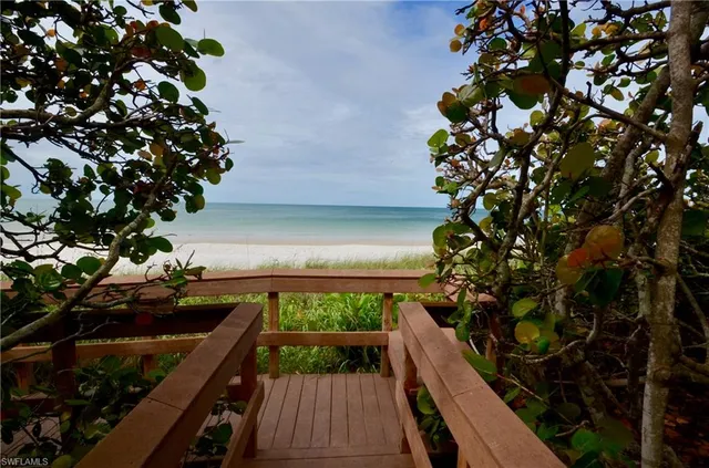 a view of a garden with plants and trees
