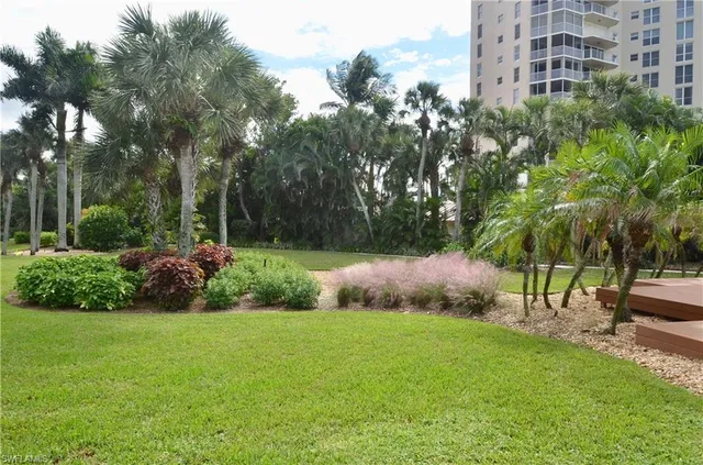 a view of a park with tree s