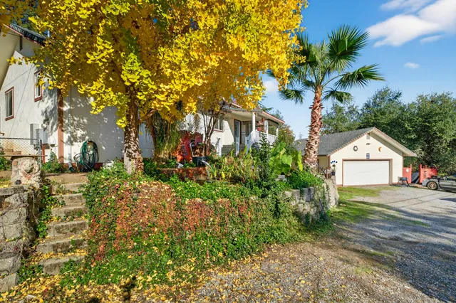 a view of a street with plants and large trees
