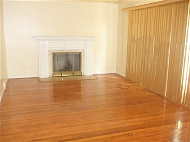31076925-3.JPG
