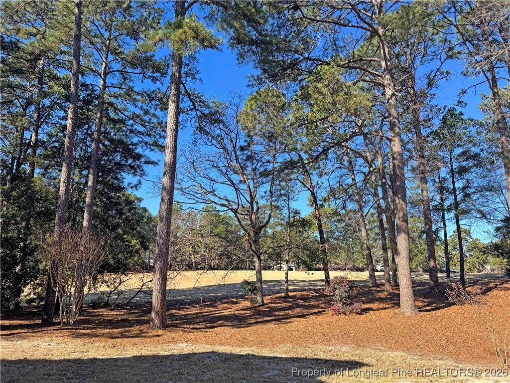 10 Pine Tree Road Pinehurst, NC 28374 - Photo 20 of 20