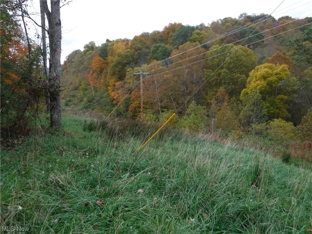 State Route26 Wingett Run Reno, OH 45773 - Photo 17 of 34 Open area leading back along first ridge snaking along SR26 below. Note electric availibilty for your new cabin! Easy access with minimal expense.