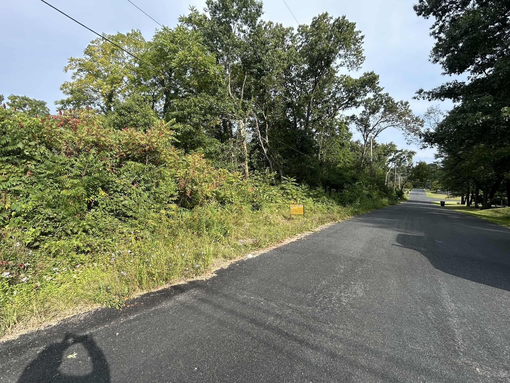 Cherokee Street Battle Creek, MI 49014 - Photo 2 of 4 ca69207a-325f-42d9-9228-8adb08333a77