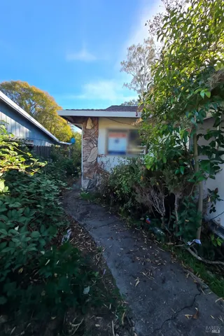 a view of a backyard