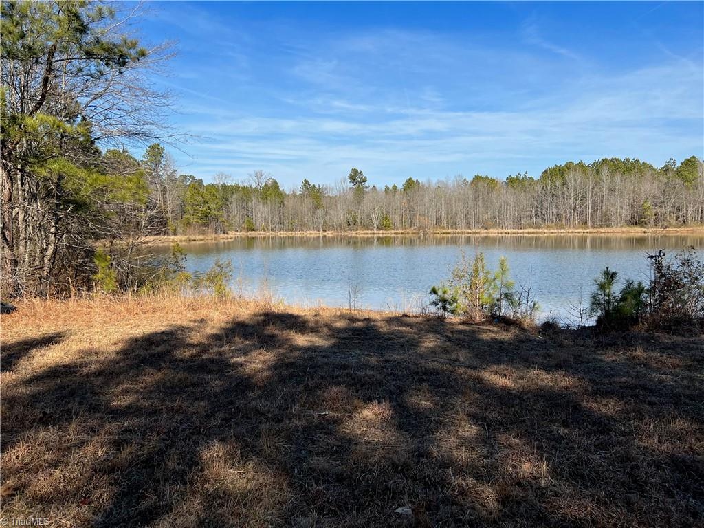 0 Paschall Station Road Warrenton, NC 27589 - Photo 11 of 13