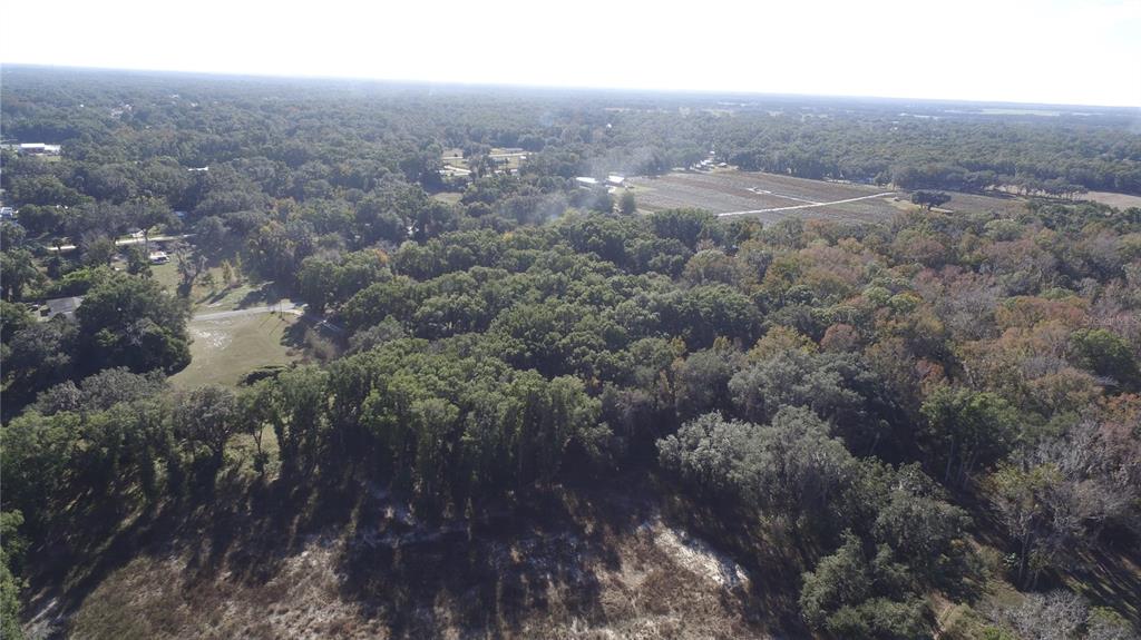 301 Tbd Citra, FL 32113 - Photo 11 of 34