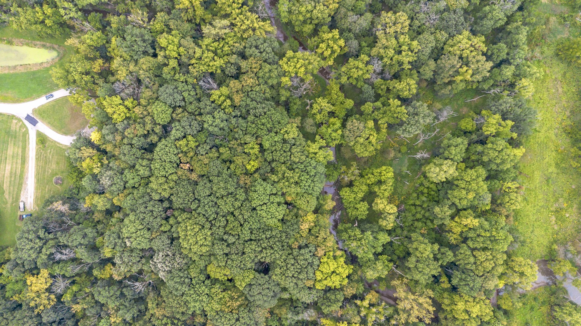 2220 Anne Lane Crete, IL 60417 - Photo 7 of 11