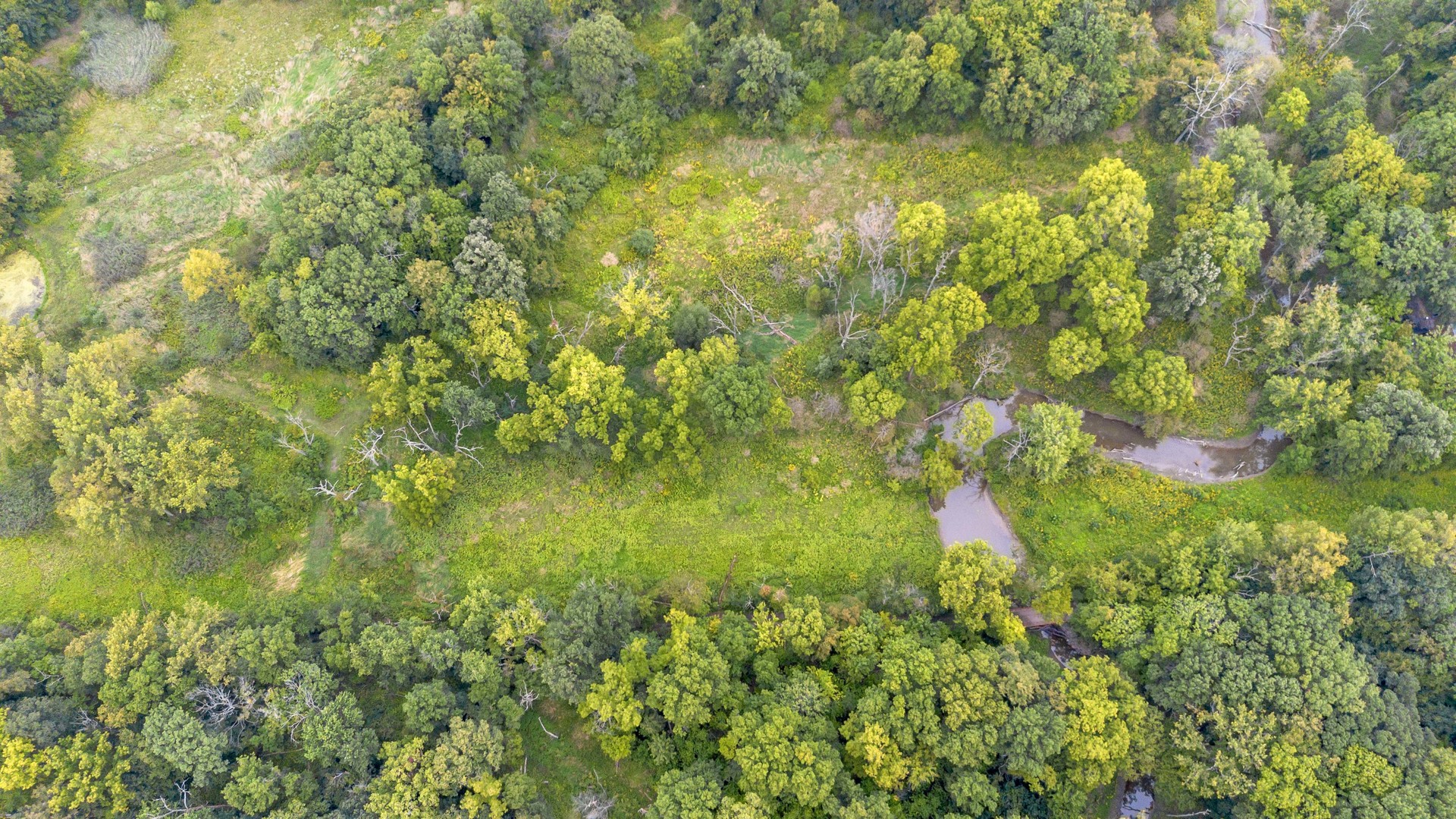 2220 Anne Lane Crete, IL 60417 - Photo 8 of 11