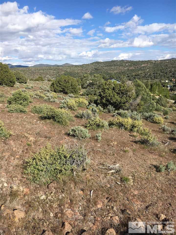 2562 Cartwright Road Reno, NV 89521 - Photo 1 of 11 a view of a city