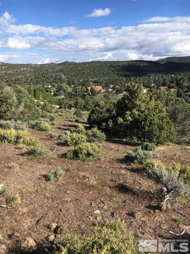 2562 Cartwright Road Reno, NV 89521 - Photo 2 of 11 a view of a yard