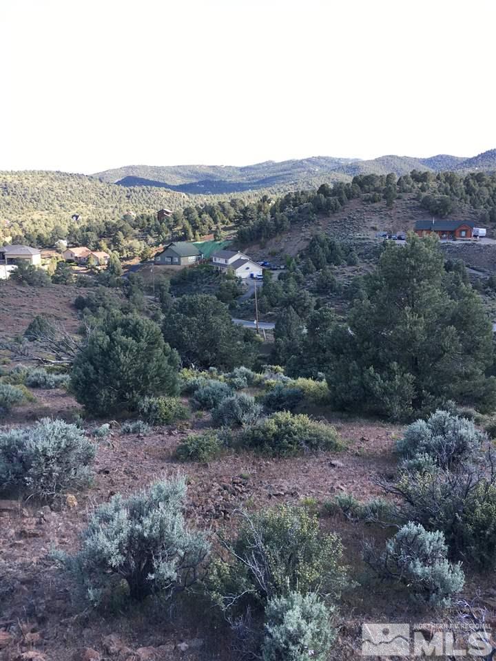 2562 Cartwright Road Reno, NV 89521 - Photo 4 of 11 a view of a dry yard with green space