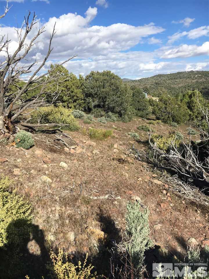 2562 Cartwright Road Reno, NV 89521 - Photo 5 of 11 a view of a forest with mountains in the background