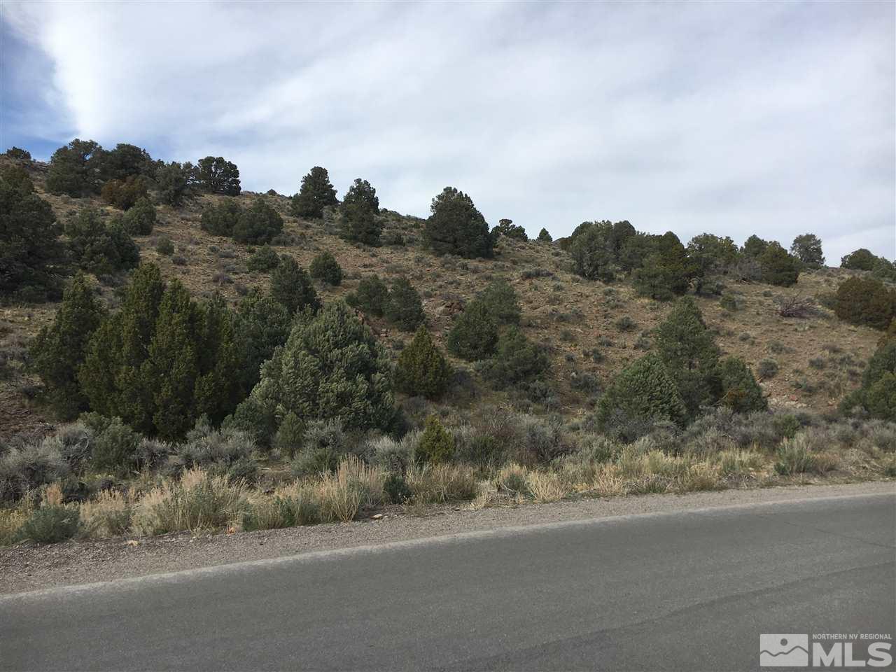2562 Cartwright Road Reno, NV 89521 - Photo 10 of 11