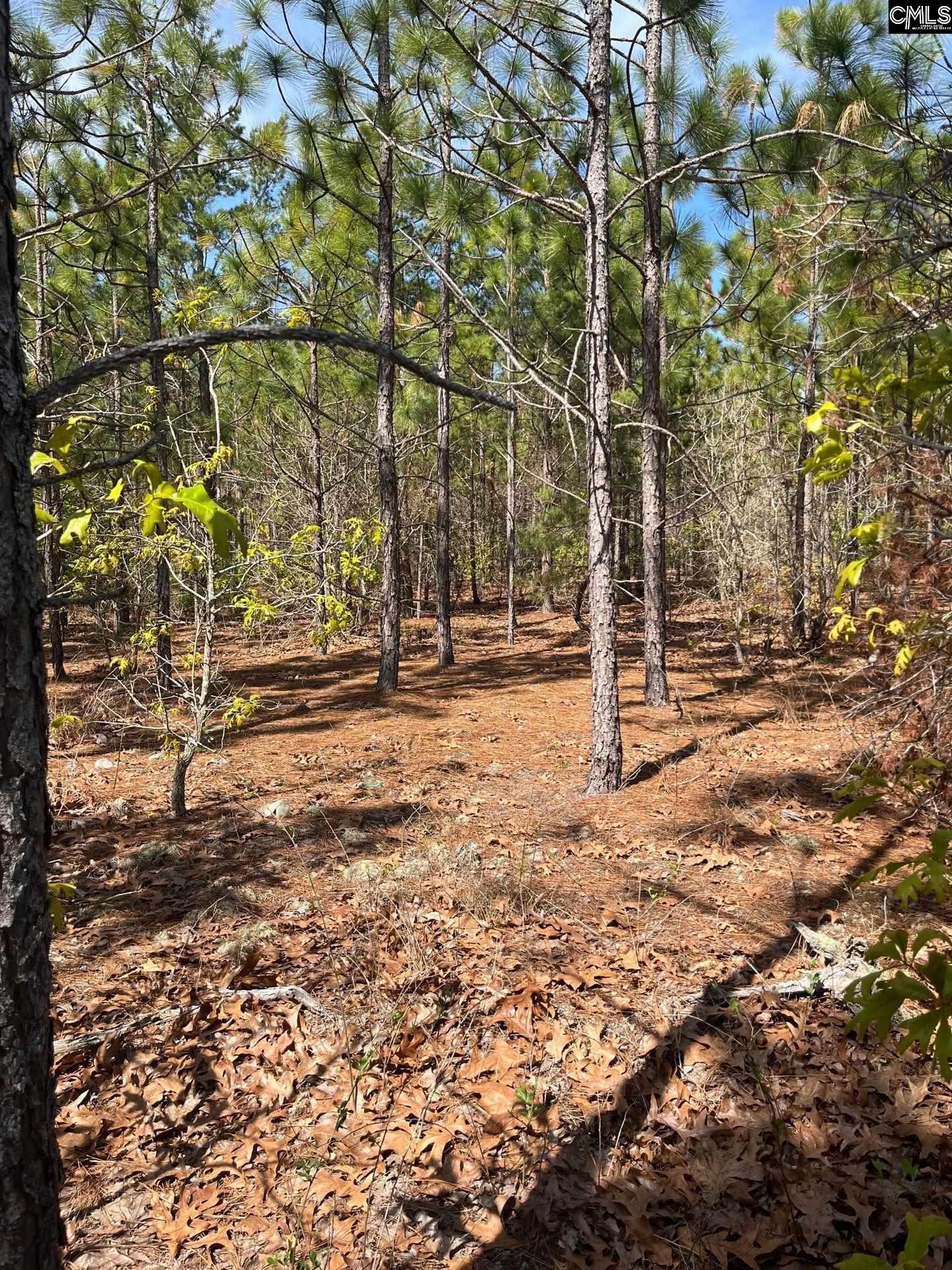 5 Beaver Dam Road Cassatt, SC 29032 - Photo 12 of 17