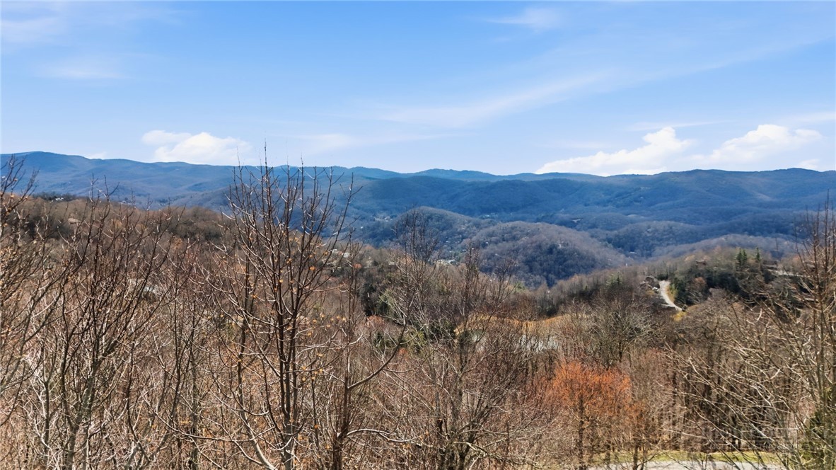 0 Chestnut Ridge Trail Banner Elk, NC 28604 - Photo 6 of 20