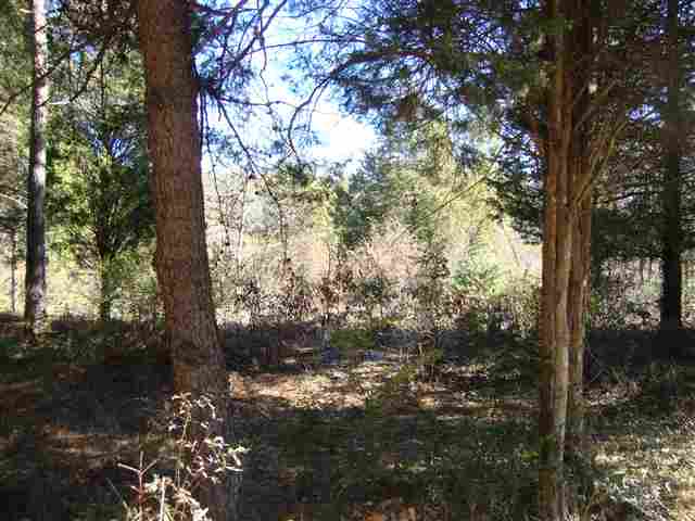 0 Freeman Road Liberty, SC 29657 - Photo 1 of 8
