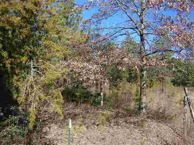 0 Freeman Road Liberty, SC 29657 - Photo 2 of 8