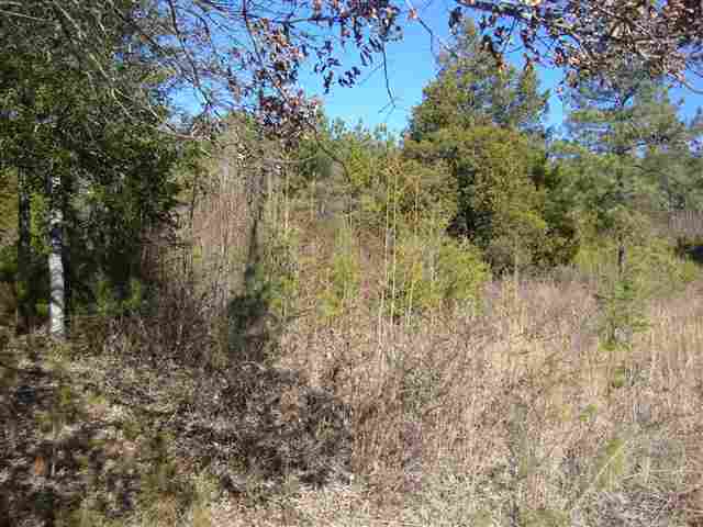0 Freeman Road Liberty, SC 29657 - Photo 3 of 8