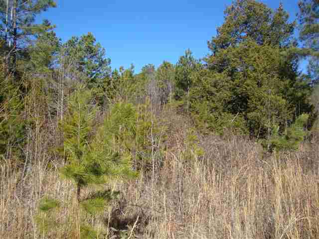 0 Freeman Road Liberty, SC 29657 - Photo 4 of 8