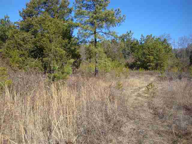 0 Freeman Road Liberty, SC 29657 - Photo 5 of 8