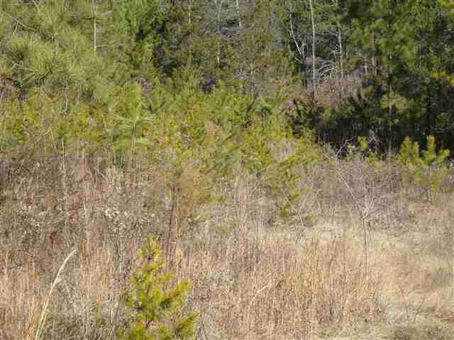 0 Freeman Road Liberty, SC 29657 - Photo 6 of 8