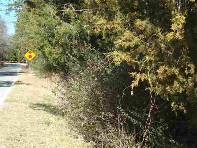 0 Freeman Road Liberty, SC 29657 - Photo 7 of 8
