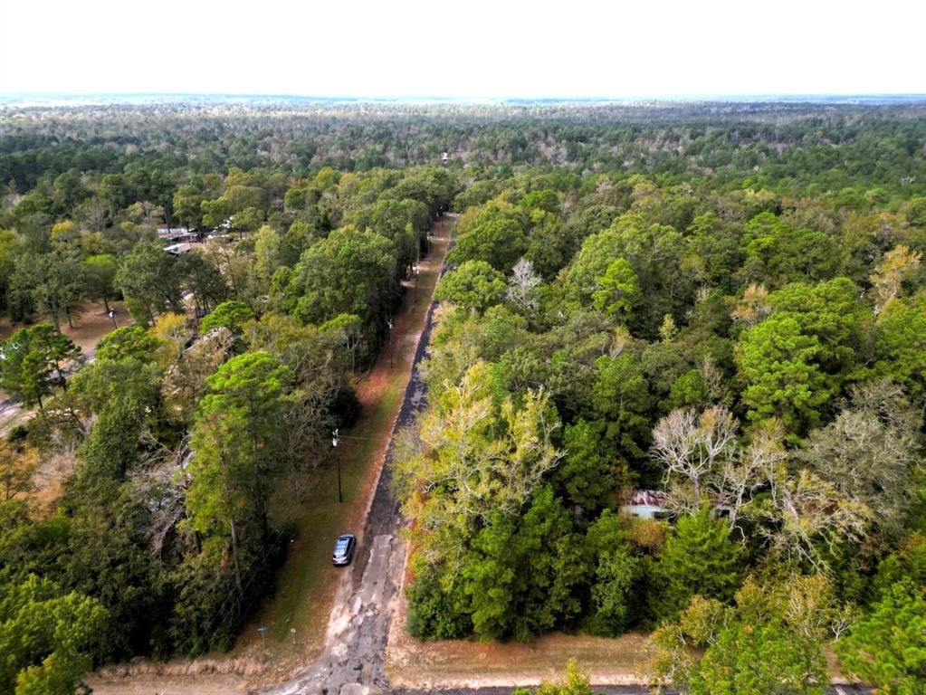 307 Cherokee Drive Trinity, TX 75862 - Photo 8 of 18 an aerial view of forest