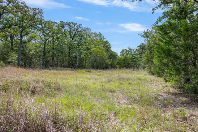 $120,000 | Anders-daniels Anders-Daniels Road, La Grange, TX 78945