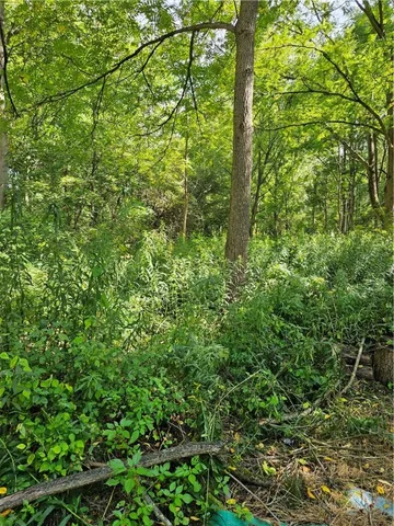 $185,000 | 0 Lyons-Marengo Road, Clyde, NY 14433