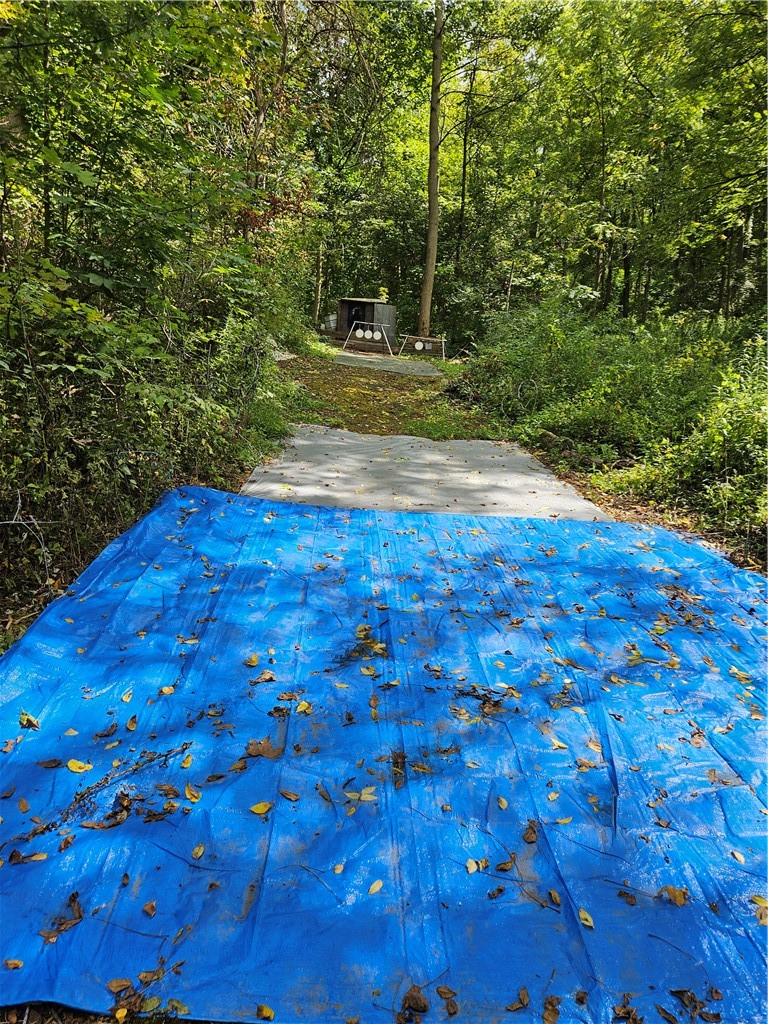 0 Lyons-Marengo Road Clyde, NY 14433 - Photo 6 of 8