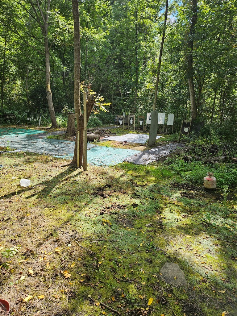 0 Lyons-Marengo Road Clyde, NY 14433 - Photo 7 of 8