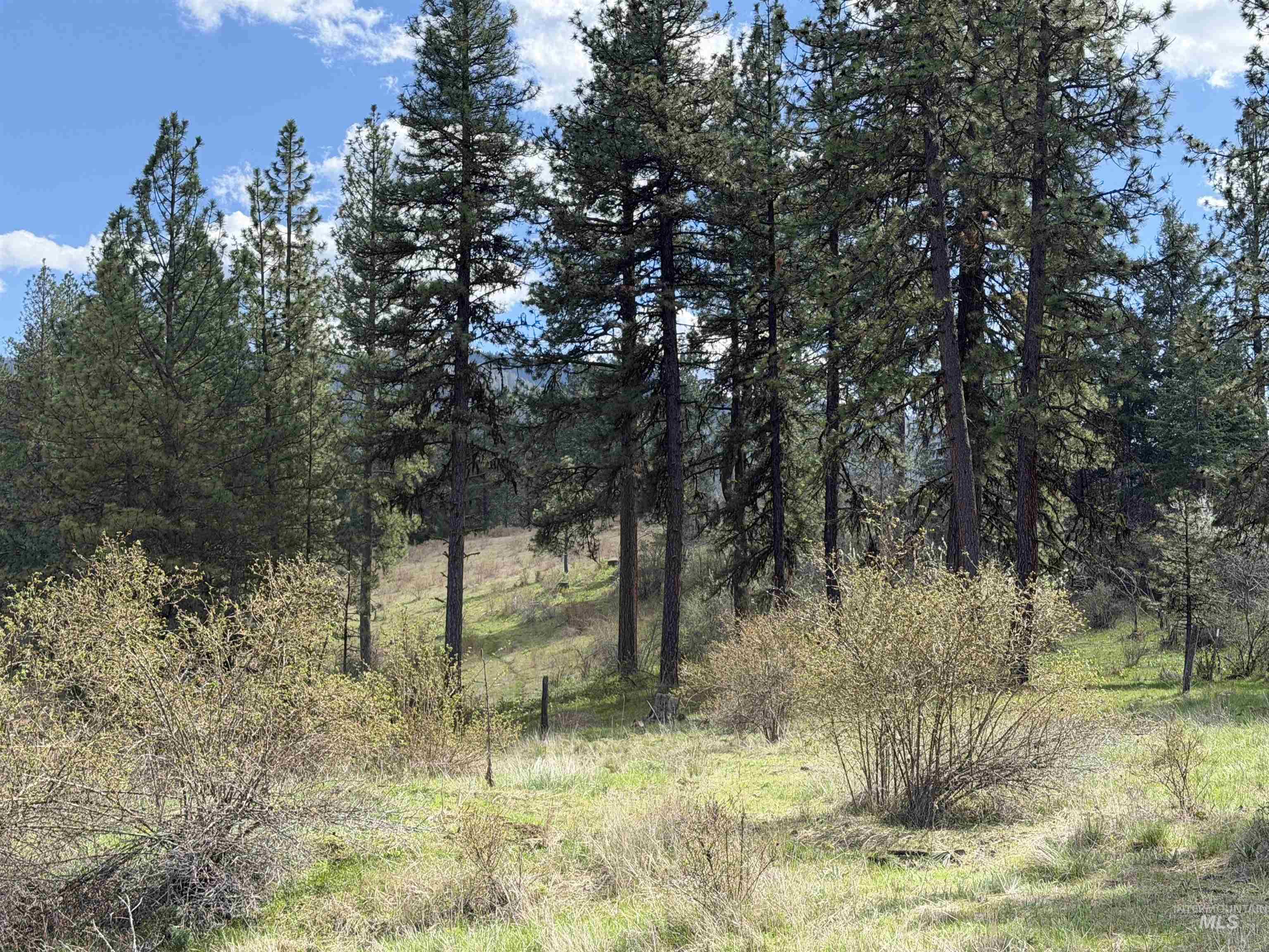 442 Elk City Wagon Road Stites, ID 83552 - Photo 11 of 15