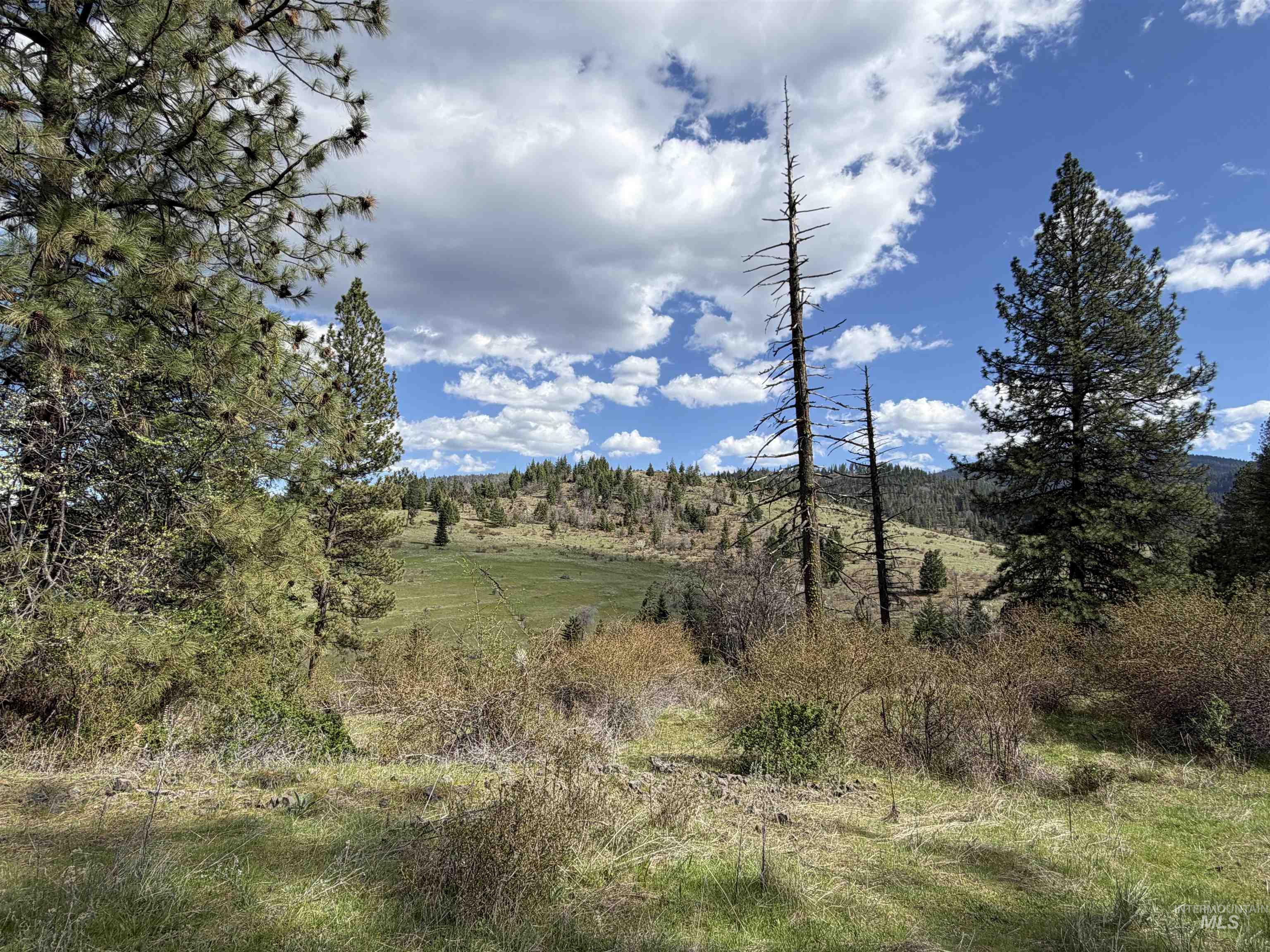 442 Elk City Wagon Road Stites, ID 83552 - Photo 13 of 15