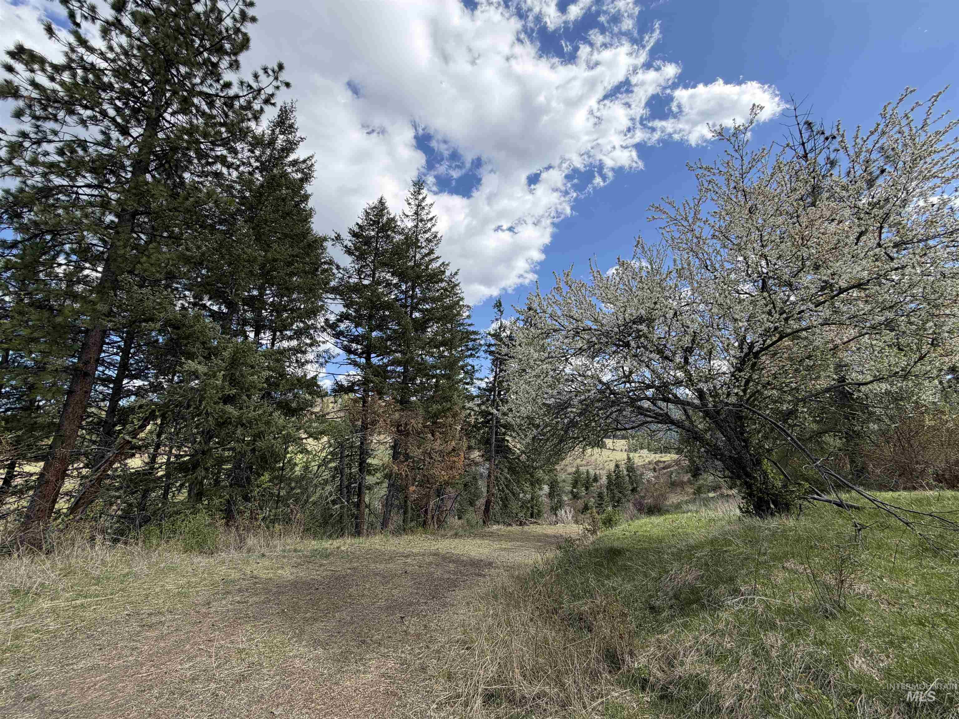 442 Elk City Wagon Road Stites, ID 83552 - Photo 14 of 15