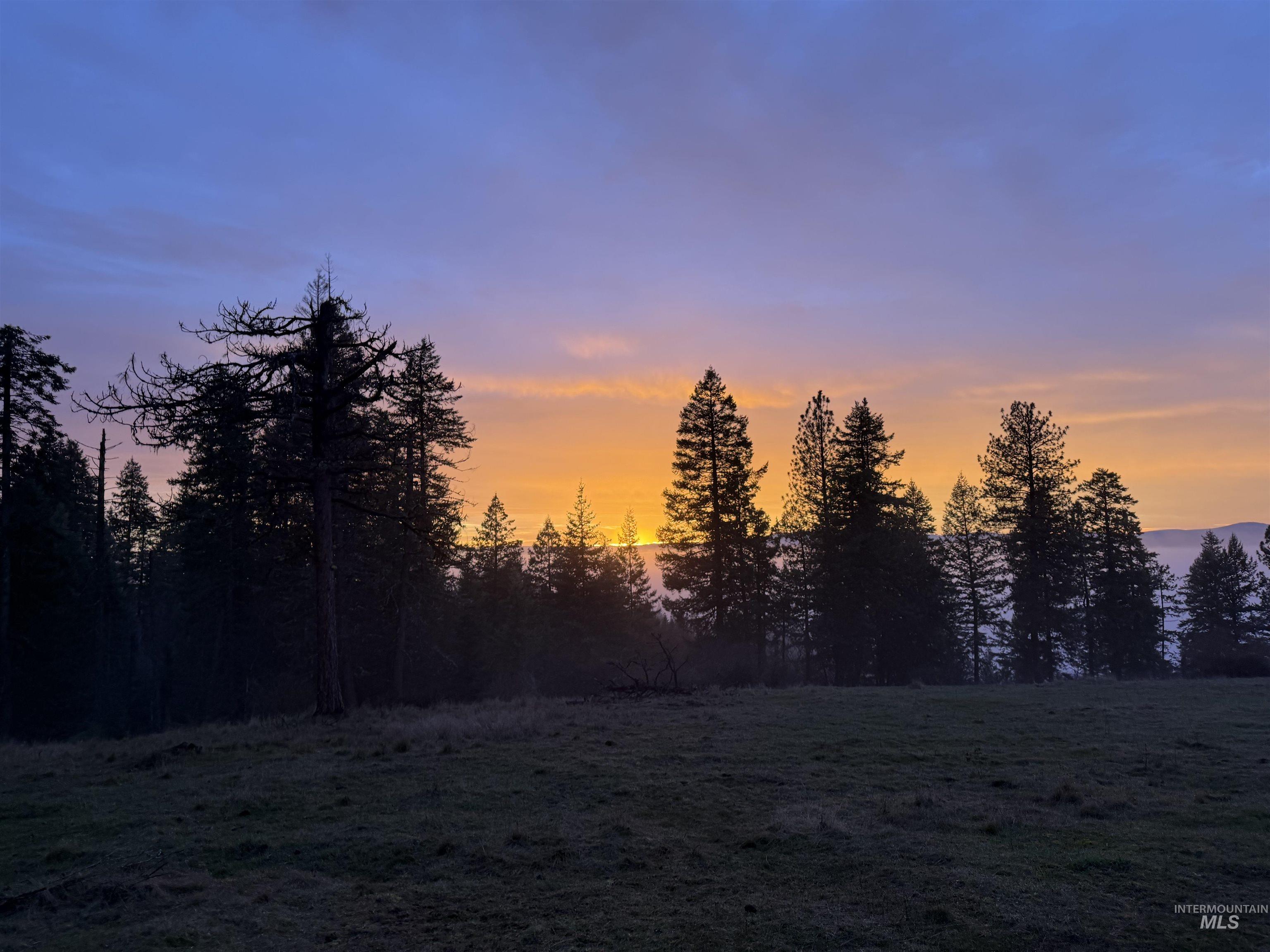 442 Elk City Wagon Road Stites, ID 83552 - Photo 15 of 15