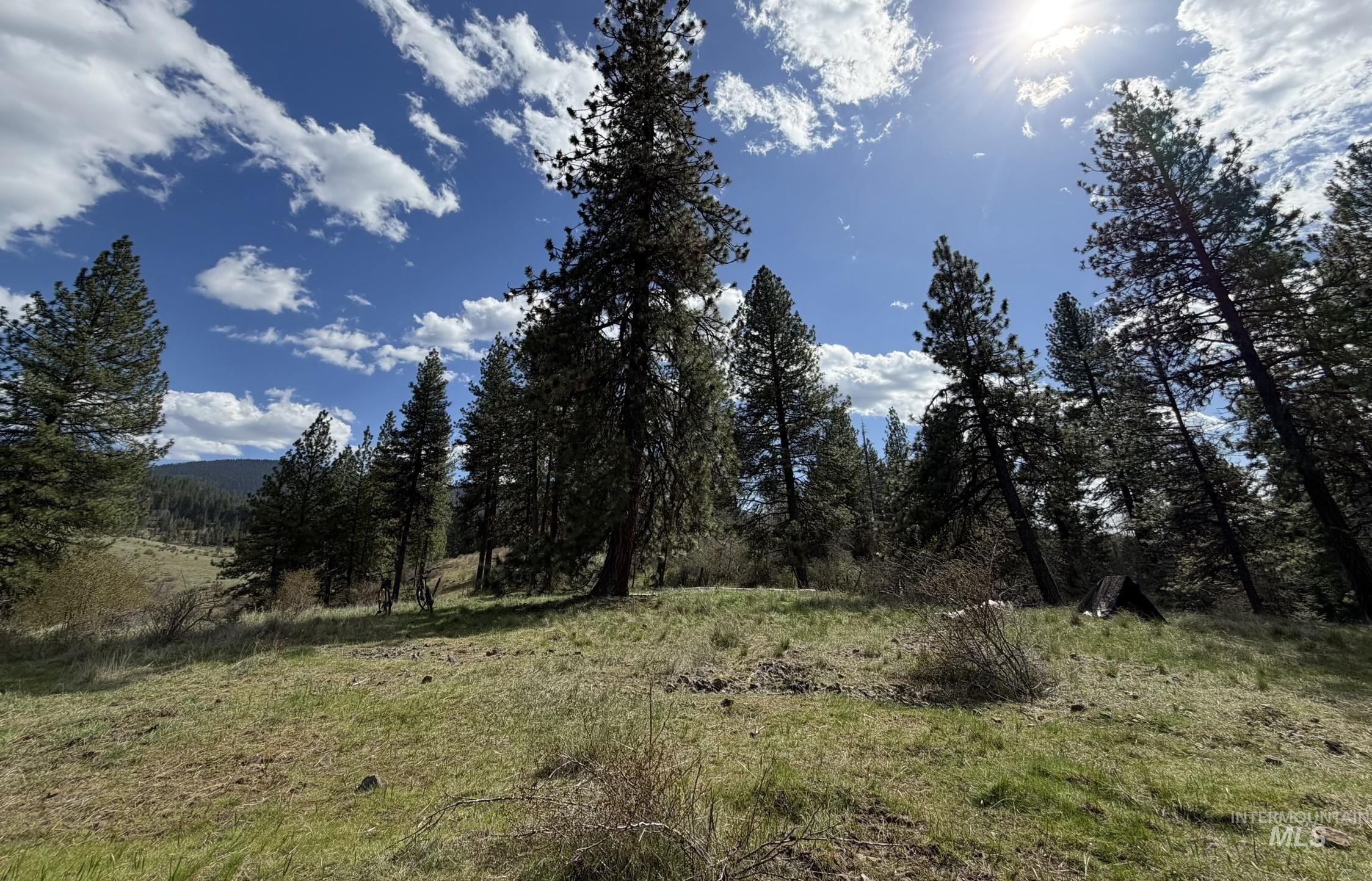 442 Elk City Wagon Road Stites, ID 83552 - Photo 2 of 15