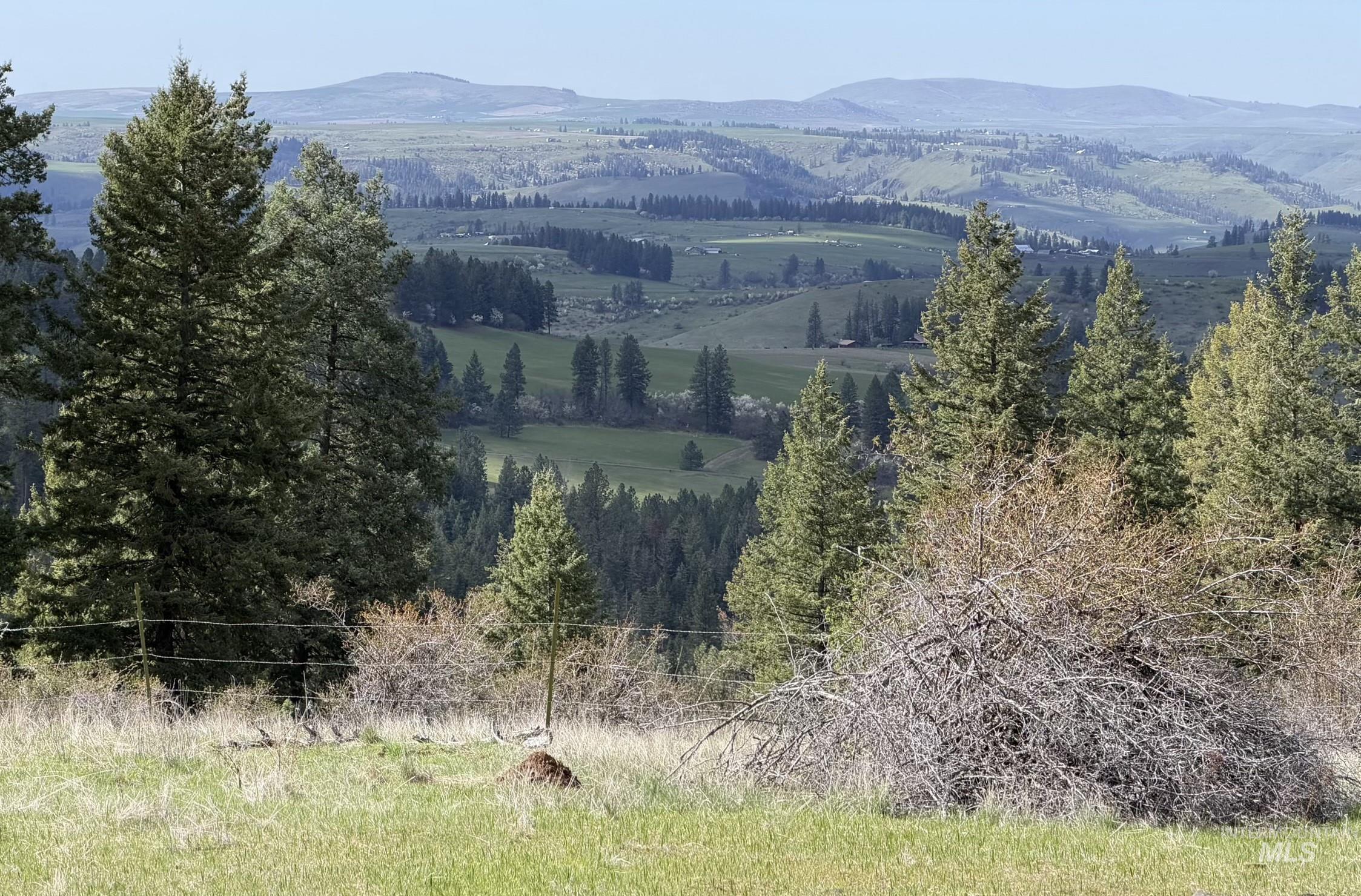 442 Elk City Wagon Road Stites, ID 83552 - Photo 4 of 15