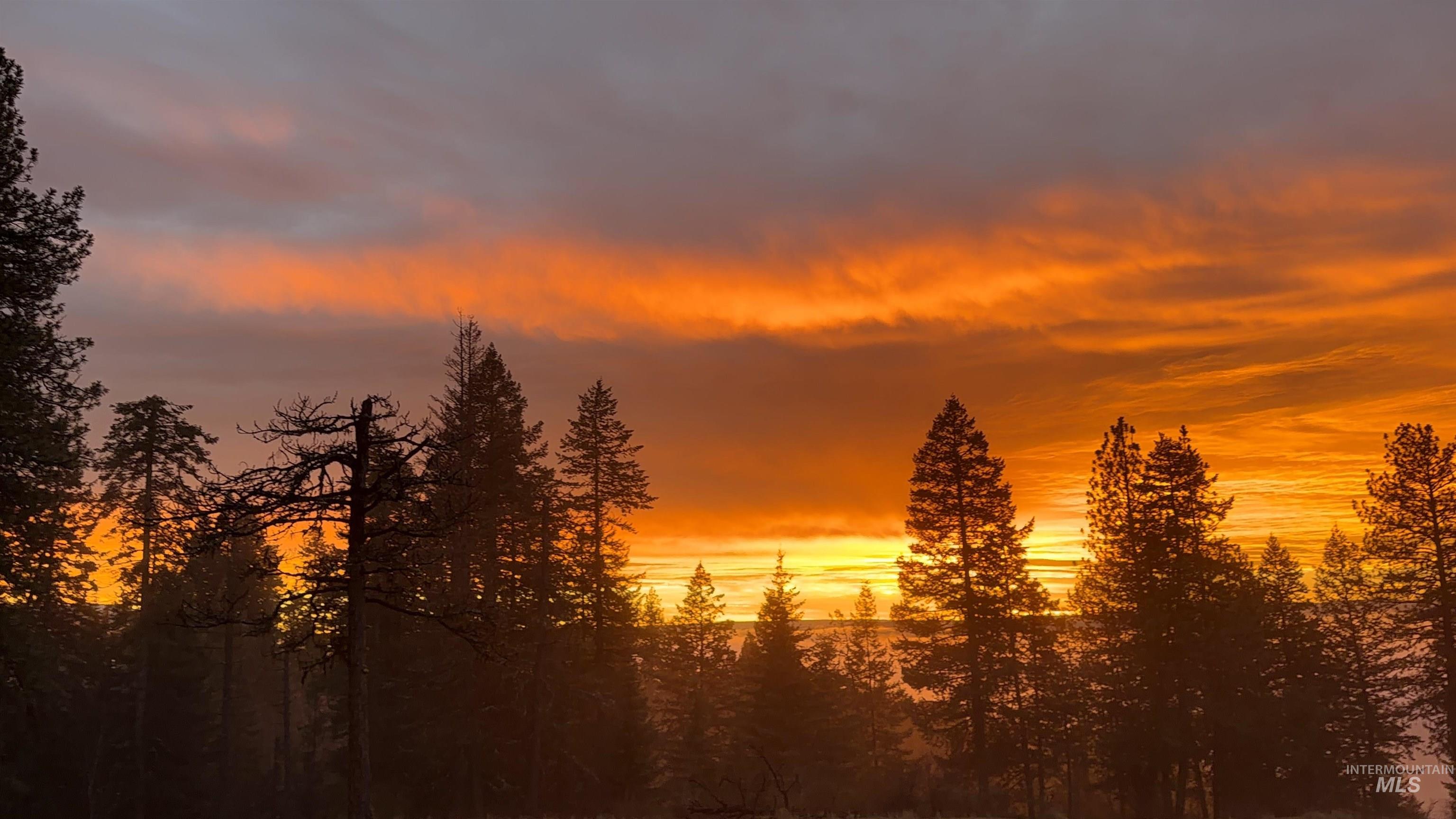 442 Elk City Wagon Road Stites, ID 83552 - Photo 7 of 15