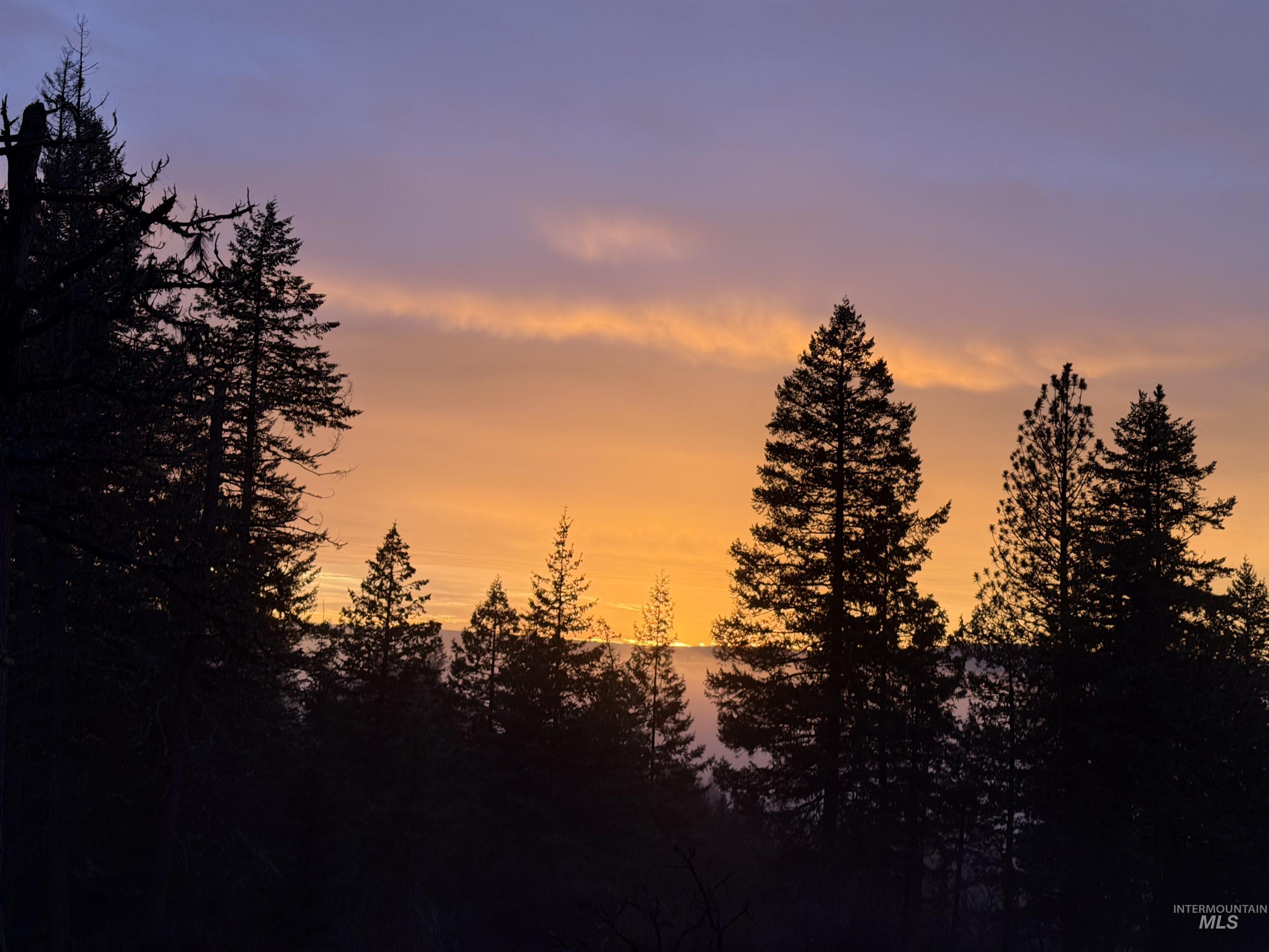 442 Elk City Wagon Road Stites, ID 83552 - Photo 8 of 15