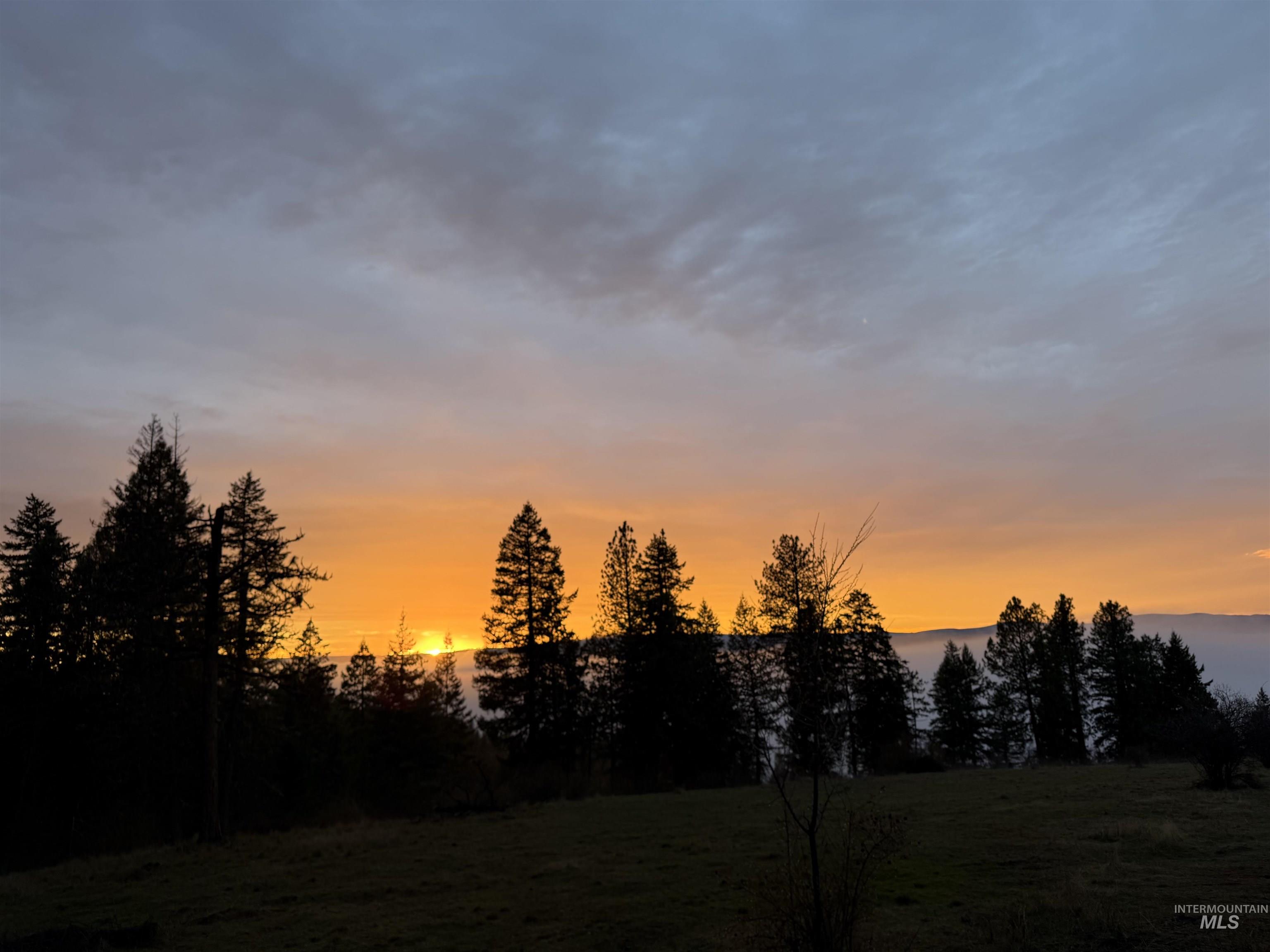 442 Elk City Wagon Road Stites, ID 83552 - Photo 9 of 15