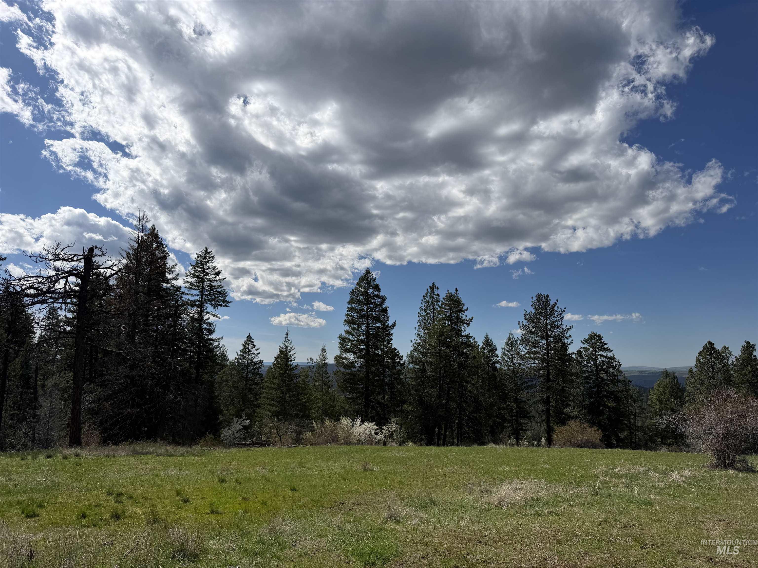 442 Elk City Wagon Road Stites, ID 83552 - Photo 10 of 15