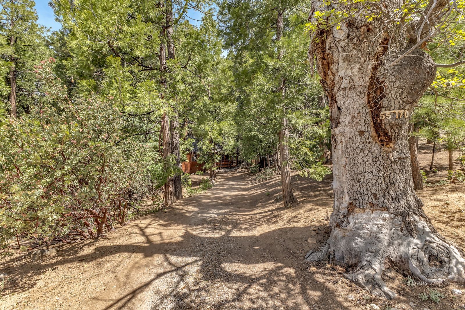 55170 Daryll Road Idyllwild, CA 92549 - Photo 1 of 28 Untitled
