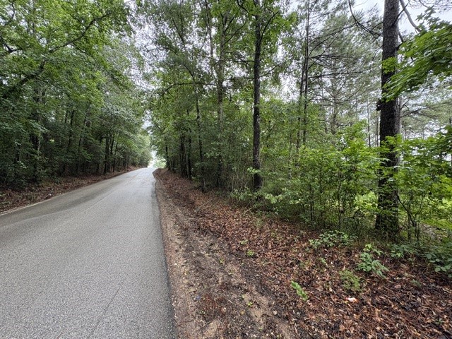 268 Cedar Valley Road Coldspring, TX 77331 - Photo 29 of 29