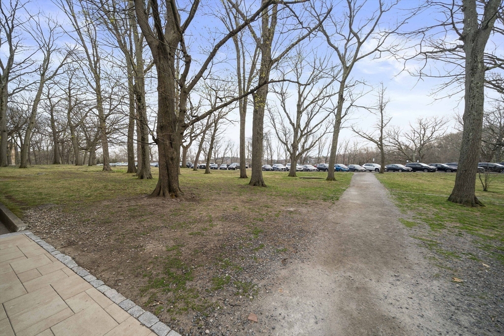 1986 Commonwealth, Unit 2 Boston, MA 02135 - Photo 19 of 24