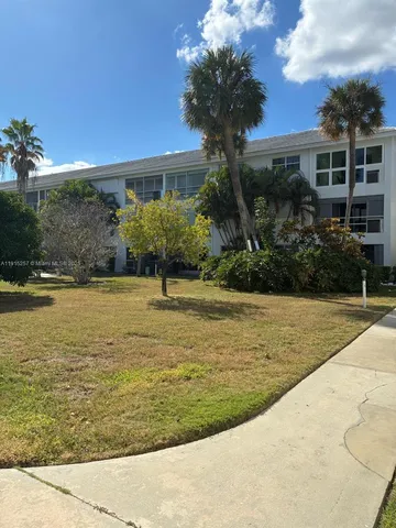 a view of a yard with trees