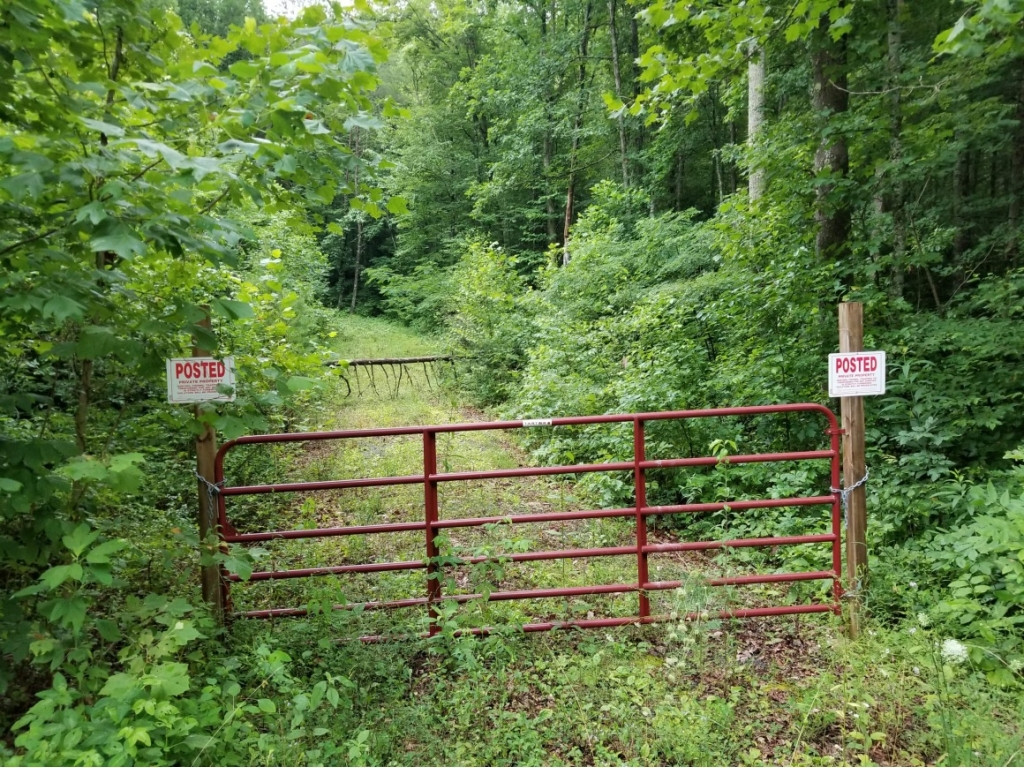 0 Thomas Road Rogersville, TN 37857 - Photo 1 of 8 Photo 1