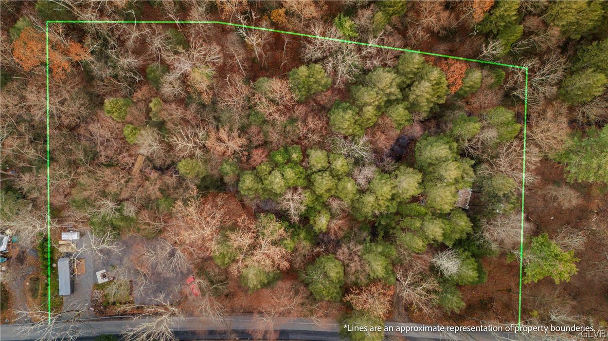 0 Laurel Road Lehighton, PA 18235 - Photo 13 of 17 a view of a yard