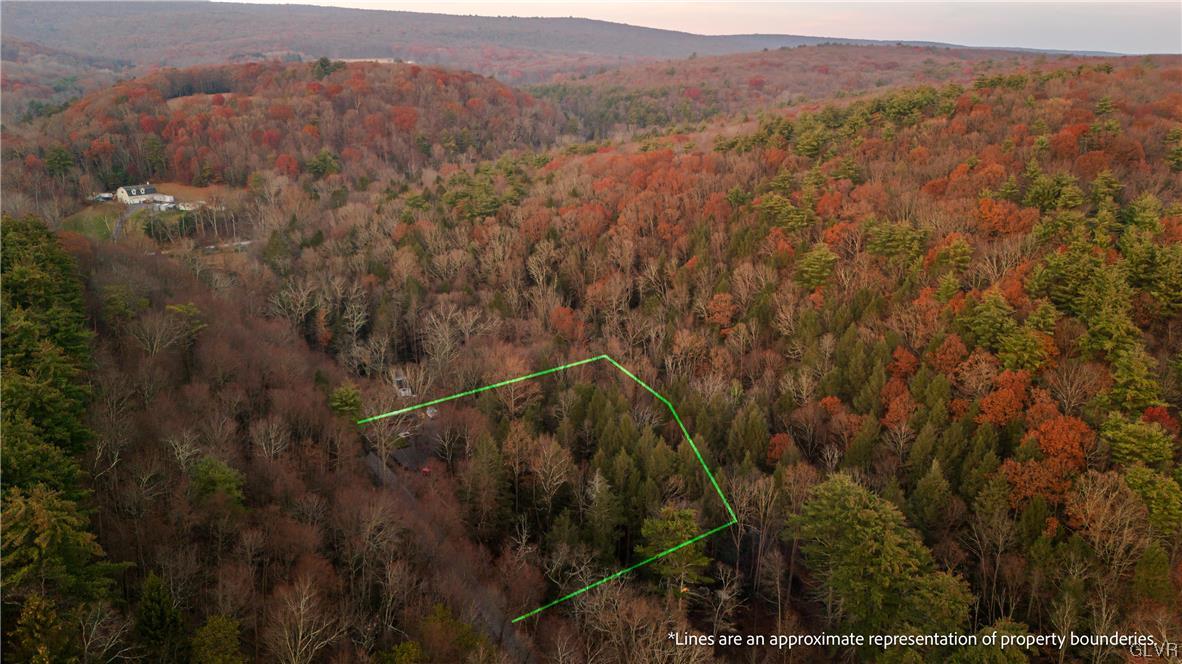 0 Laurel Road Lehighton, PA 18235 - Photo 14 of 17 a view of a forest with a mountain
