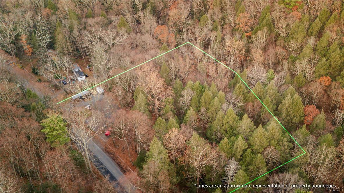 0 Laurel Road Lehighton, PA 18235 - Photo 17 of 17 a view of a forest with a forest